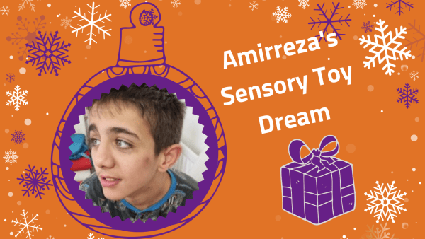 Amirreza's Sensory Toy Dream